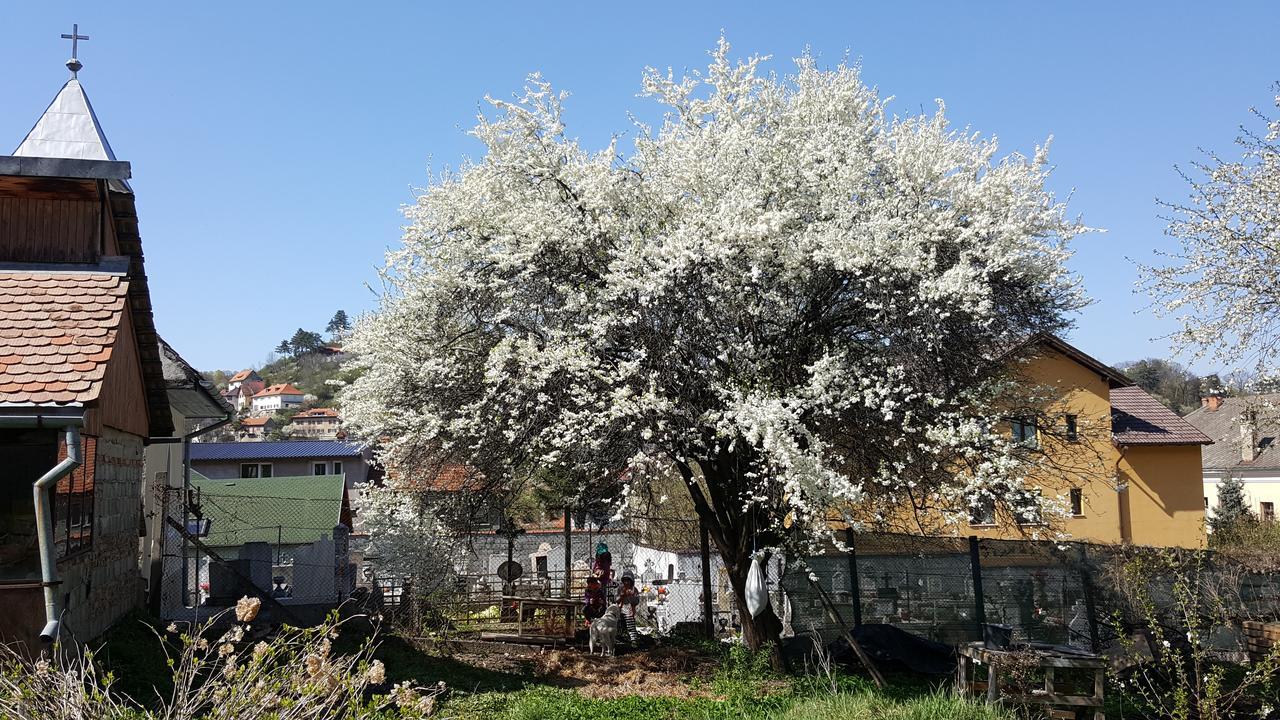 Albergue Mountain Tale Braşov Exterior foto